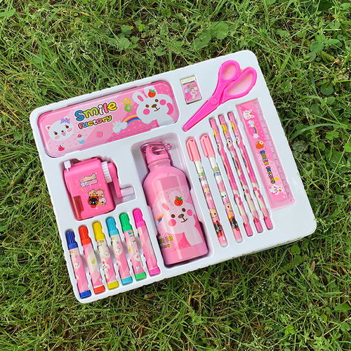 開學(xué)兒童幼兒園小學(xué)生學(xué)習(xí)用品水杯文具套裝禮盒生日禮物獎(jiǎng)品批發(fā)